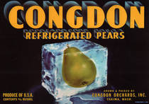 Congdon