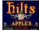Hilts