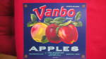 Vanbo