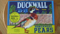 Duckwall D-B