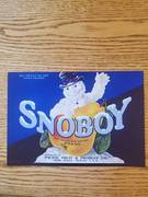 Snoboy 45LBS No Grade