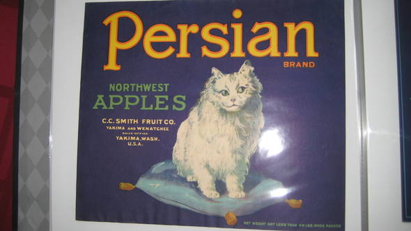 Persion Cat blue no border Fruit Crate Label