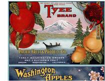 Tyee