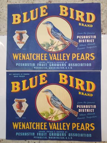 Bluebird older versions Fruit Crate Label