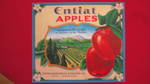 Entiat Apples
