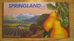 Springland