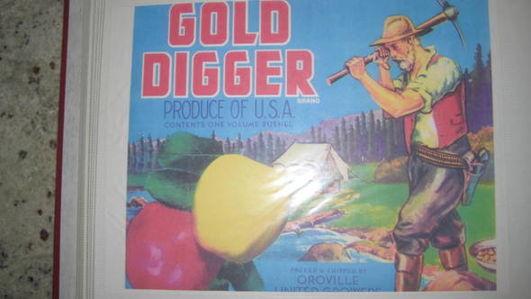 Gold Digger Fruit Crate Label