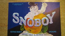 Snoboy