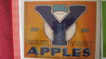 Big Y