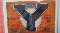 Big Y no weight