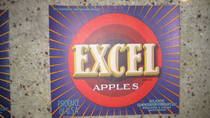 Excell