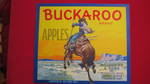 Buckaroo