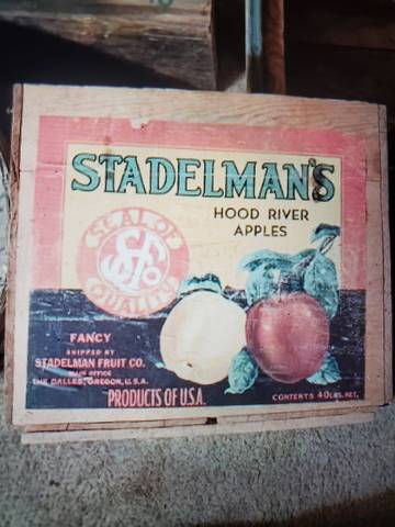 Stadelmans Hood River Apples Fruit Crate Label