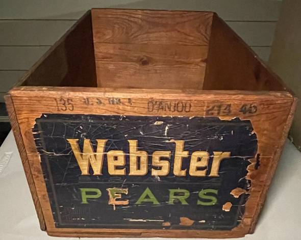 Webster Older Fruit Crate Label
