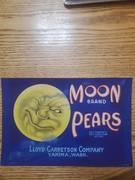 Moon 42 lbs