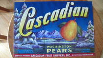 Cascadian
