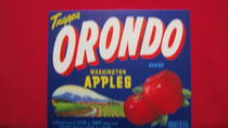 Orondo