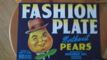 Fashion Plate