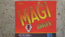 Magi