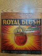 Royal Blush