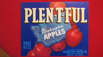 Plen-t-ful