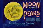 Moon No weight
