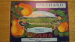 Orchard