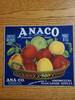 Anaco SF Large Contents