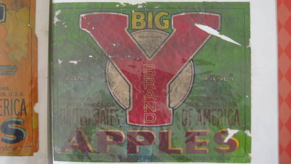 Big Y fancy Fruit Crate Label