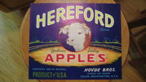 Hereford