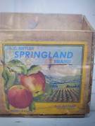 Springland stock