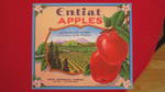 Entiat Apples