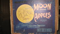 Moon 40 lbs net