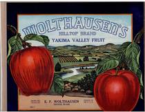 Wolthausen's