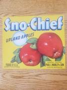 Sno-Chief Yellow