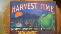 Harvest Time