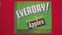 Everday