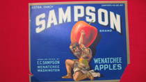 Sampson