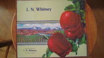 Whitney LN
