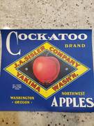 Cocakatoo