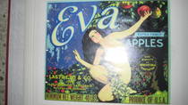 Eva