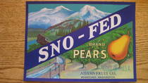 Sno Fed
