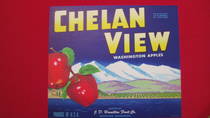 Chelan View