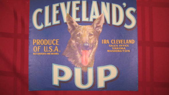 Cleveland's Pup ST LL Fruit Crate Label