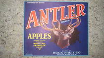 Antler Wenatchee-Okanogan