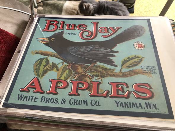 Blue Jay Fruit Crate Label