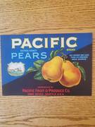 Pacific Blue