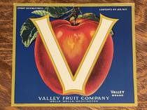 V Brand