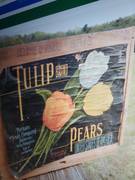      Tulip Perham Fruit Company