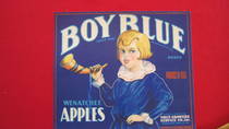 Boy Blue Fruit Growers Service
